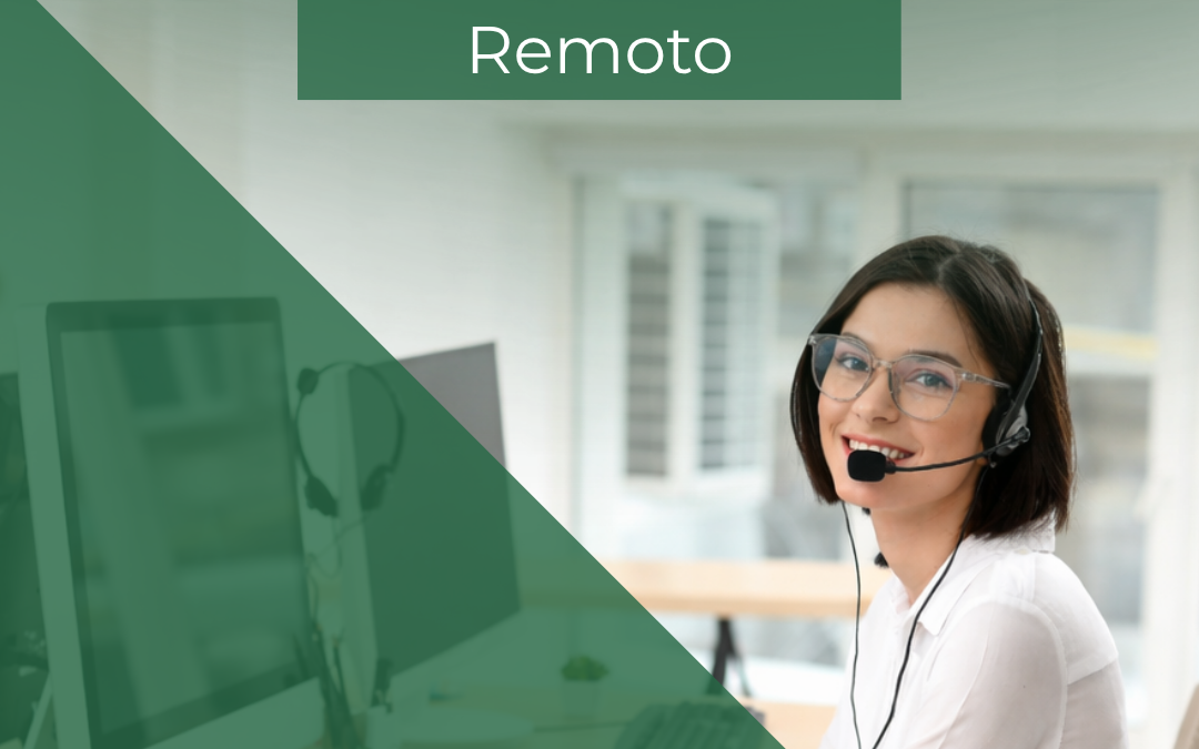 Suporte Técnico Remoto